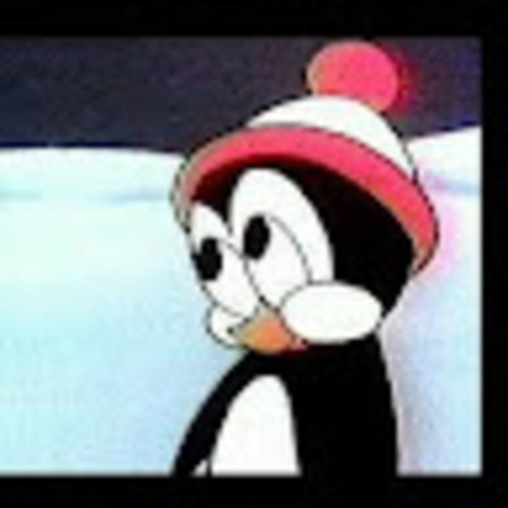 Meet your Posher, Michael